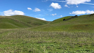 Lakis Latis - Index Picture