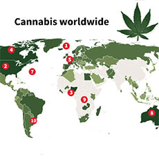 世界のグリーンラッシュ